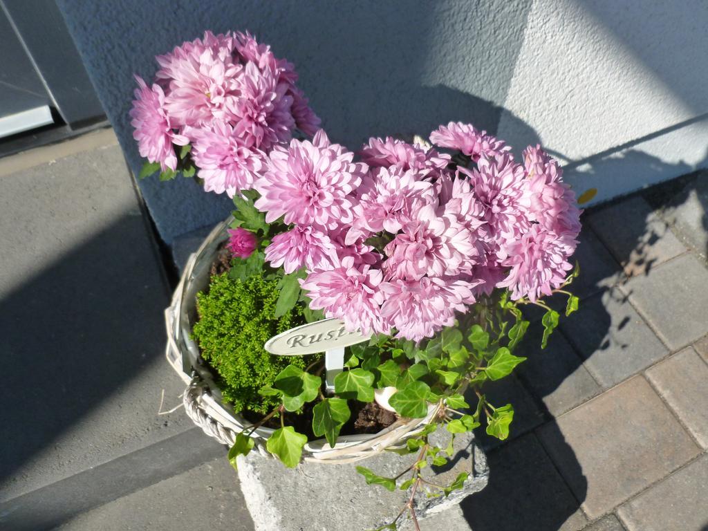 Pension Susanne Bruttig-Fankel Buitenkant foto